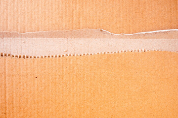 torn cardboard texture background in the middle