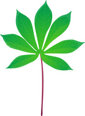 awesome green cassava leaf png vector