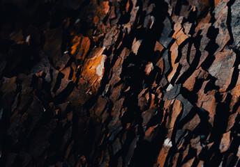 Rock texture with orange lichen, Newfoundland