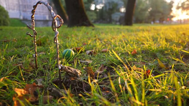 Wood hammer kick green ball, closeup shot of croquet game at evening park. Ball roll to gate and hit one side, but pass through hoop. Beautiful low sun light fall on grass blades, dry leaves on grass