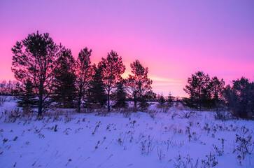 Pink winter sunrise in Canada