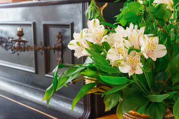 Fresh white alstroemeria, peruvian lily flowers arranged in rich green bouquet placed on an old vintage piano background, combining floral beauty with aesthetic classic interior mood.