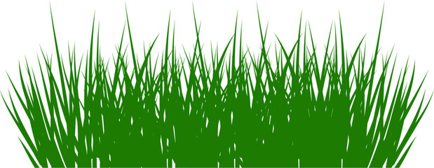 Obraz premium green grass border. vector illustration. green grass on white background. Realistic green long grass tufts isolated on white background. Fresh spring lawn bushes for summer meadow, nature border 