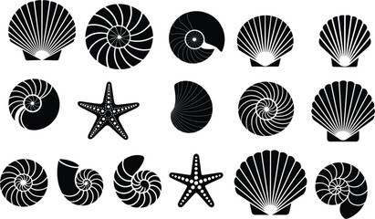 Collection of black seashell silhouettes and starfish icons isolated on white background for marine life and beach themed design