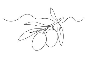Olive branch icon simple outline single line art illustration isolated