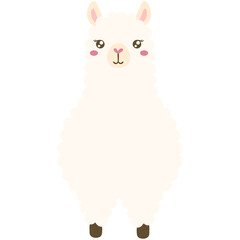 White alpaca 