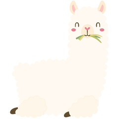 Alpaca with grass