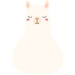 Sleeping white alpaca