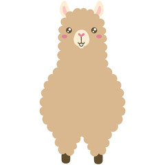 Cute alpaca 