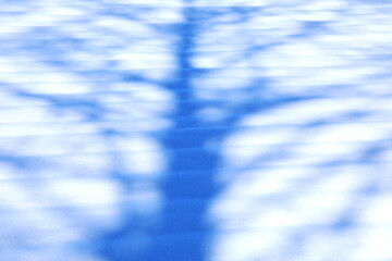 Fototapeta premium 雪面に映る木の影がデザイン的な背景素材