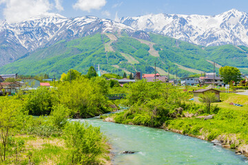 日本の風景・初夏　長野県白馬村　新緑と残雪の白馬連峰と姫川 © Yuta1127