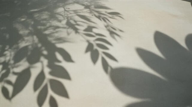 Close-up of sunlight casting leaf shadows on a textured neutral surface creating abstract patterns and natural light effects