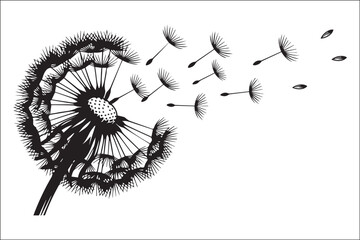 Obraz premium Dandelion silhouette with flying seeds black and white vector illustration Dandelion flower blowing in the wind sketch isolated on white background