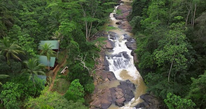 Aerial View of Wild River Flowing Through Lush Tropical Rainforest, Sinharaja, Sri Lanka