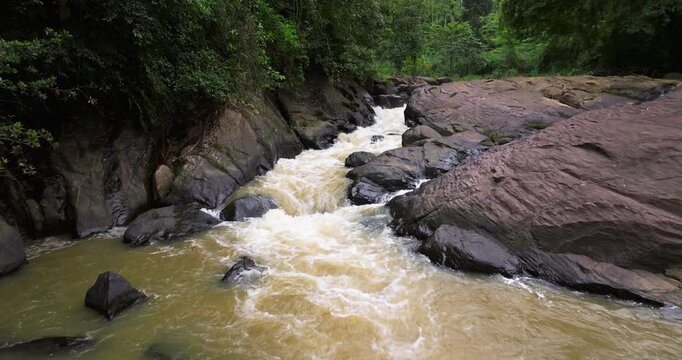 Aerial View of Wild River Flowing Through Lush Tropical Rainforest, Sinharaja, Sri Lanka