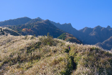 熊本県の阿蘇山、釣井尾根から望む根子岳