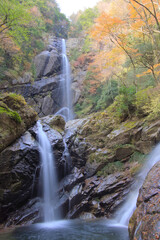 宮崎県高千穂町、五ヶ瀬川水系上野川にかかる竜ヶ岩の滝