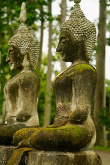 Serene Stone Buddha Statues Surrounded by Lush Greenery