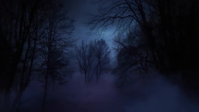Moonlit forest path with misty fog, bare tree silhouettes and eerie night clearing