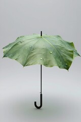 High-fashion umbrella made of a giant translucent leaf with pearl-like raindrops symbolizing the protection of nature and organic style. Concept of eco-luxury, biophilic fashion, and rain