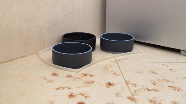Three black pet bowls sit on a transparent mat on a beige tiled kitchen floor that has visible paw prints and dirt scattered around the feeding area