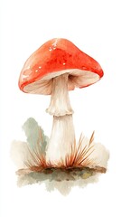 A watercolor illustration of a vibrant red mushroom with a white stem, surrounded by soft earth tones and grass-like details.