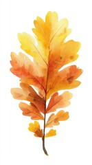 A vibrant watercolor illustration of an autumn oak leaf in shades of orange and yellow, capturing the essence of fall foliage.