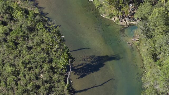 Aerial View Of Dense Forest And River With Shallow Water During Summer.