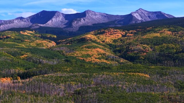Kebler Pass East Beckwith Mountain Crested Butte Colorado aerial drone Autumn Fall sunny blue sky Gunnison National Forest golden yellow Aspen Trees grove Lost Lake Paonia Somerset forward pan up