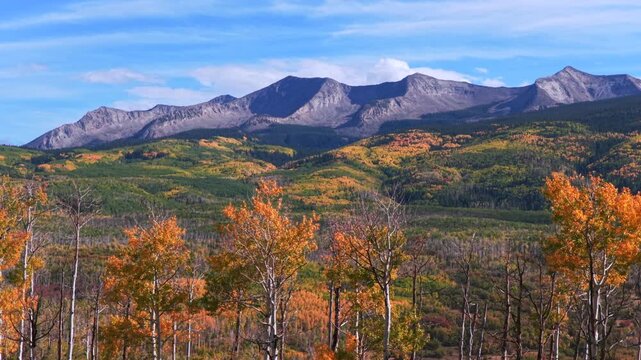 Kebler Pass East Beckwith Mountain Crested Butte Colorado aerial drone sunny Autumn Fall sunny blue sky colorful golden Aspen Trees Lost Lake Paonia Somerset Gunnison National Forest circle left
