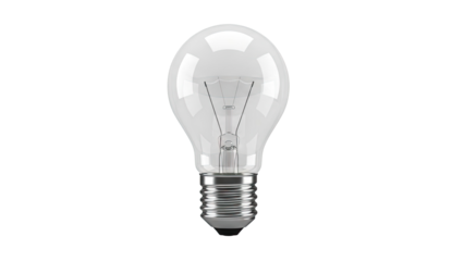 Clear Incandescent Light Bulb