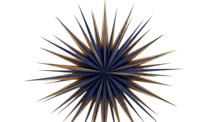 Abstract Starburst with Blue and Gold Spokes