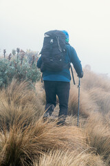 Hiker with backpack and trekking pole walking up a grassy