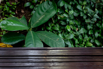 Wooden table surface with blurred green natural background for product placement	