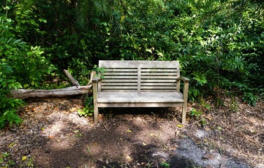 A weathered wooden bench nestled in forest clearing, surrounded by foliage and fallen leaves, inviting quiet reflection near Mary Selby Botanical Gardens, Sarasota, Florida, U.S