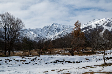 冬景色　冠雪の北アルプス　長野県白馬村 © RATM