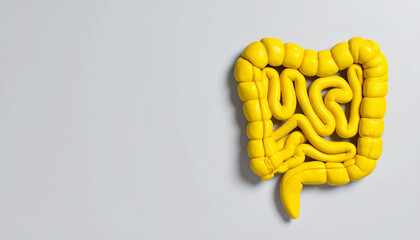 Gut health concept with yellow intestine model showing stomach digestion and colon bacteria microbiome in abdomen belly