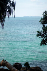 Sea views and natural trees on the rocks