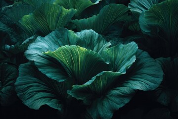 Obraz premium Close-up of lush, layered leaves displaying rich greens and subtle textural details