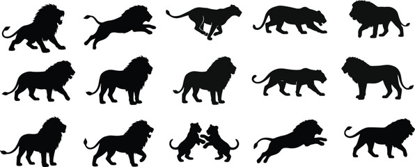Lion silhouette collection showing walking running jumping fighting poses isolated on white background, black vector wildlife illustration set design graphic © MD SHAHARIR