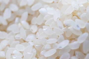 生の白い米粒にクローズアップ