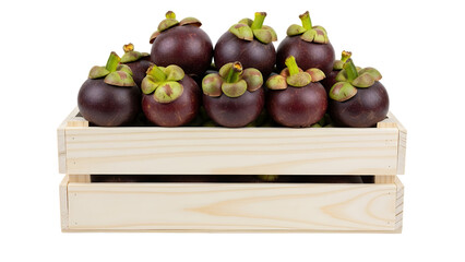 Fresh mangosteen fruits on a wooden basket, white background isolated