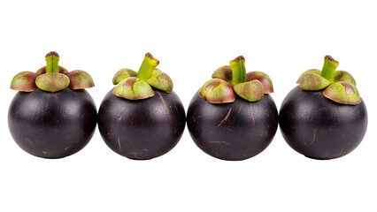 Four mangosteen fruits, white background isolated