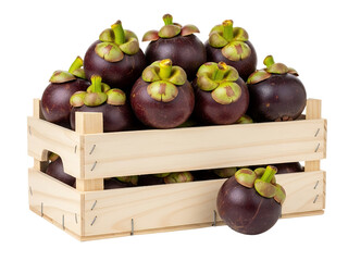Fresh mangosteen fruits on a wooden basket, white background isolated