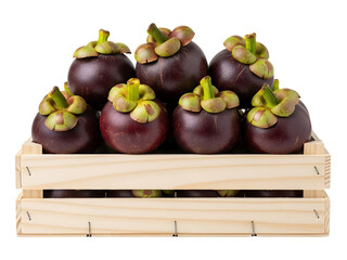 Fresh mangosteen fruits on a wooden basket, white background isolated