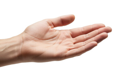 Human hand open palm Isolated on Transparent Background