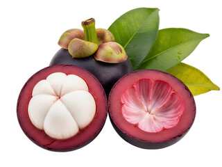 Fresh mangosteen fruits with leaves, white background isolated