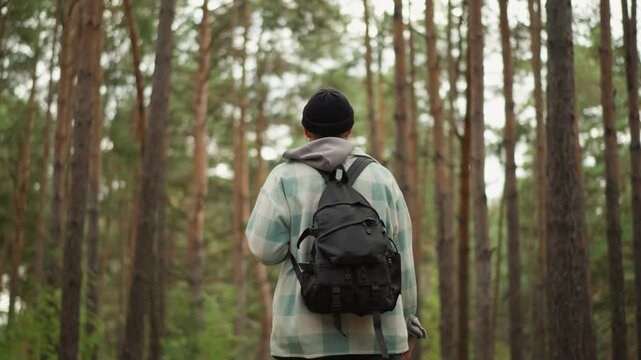 Traveler inspects forest, Hiker examines woodland trail carefully, Outdoor adventurer surveys forest path with focus, Backpack wearer observes trees while planning his route through woods