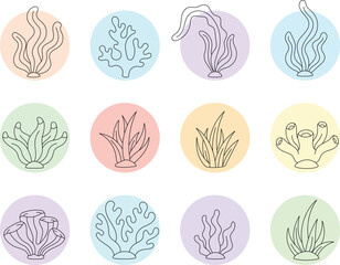 Marine Algae and Coral Sketch Vector Set
