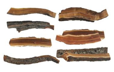 group of eight natural wood fragments with bark, exhibiting varied textures and grain patterns, set against a transparent background.